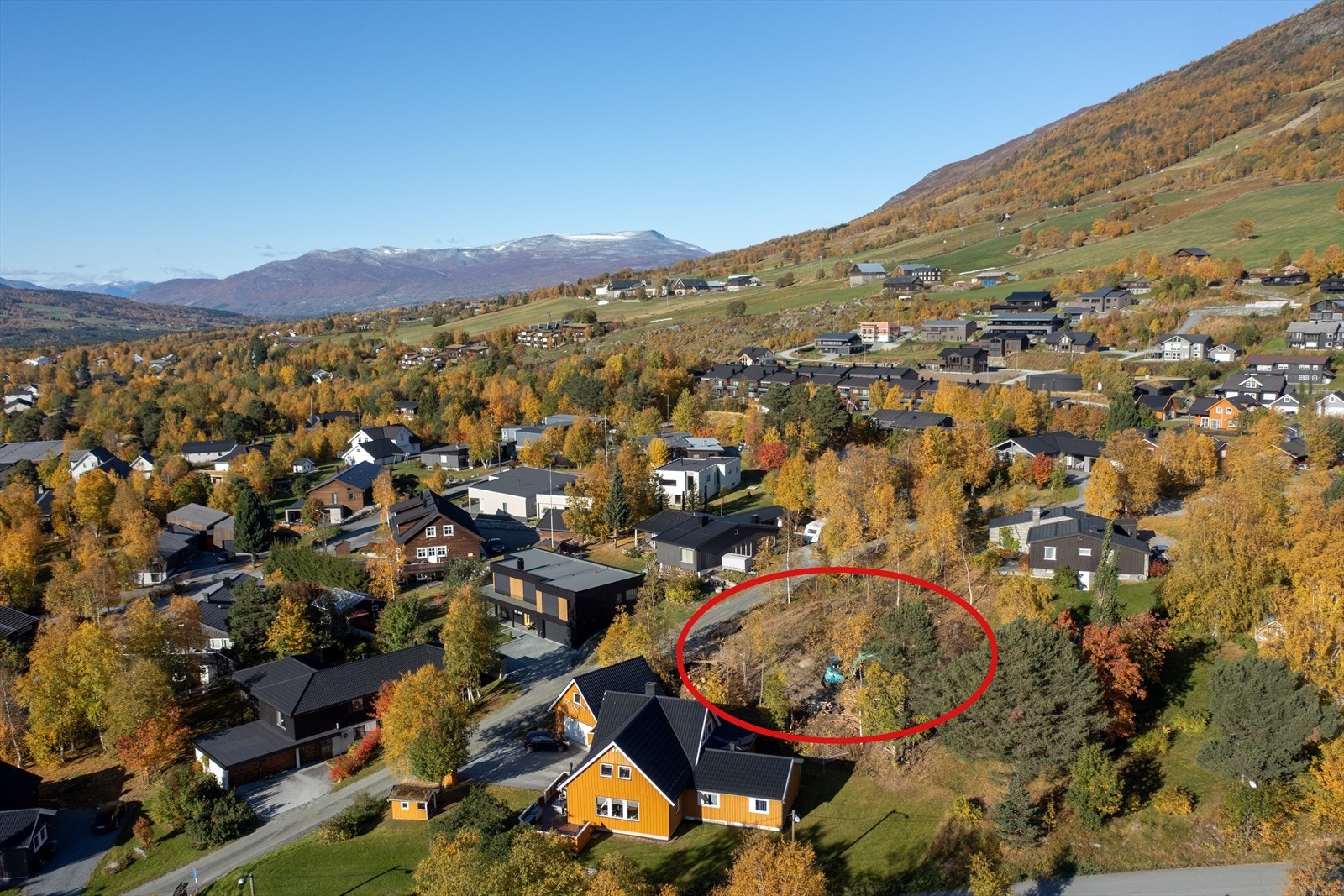 Oversiktsbilde Galleribilde