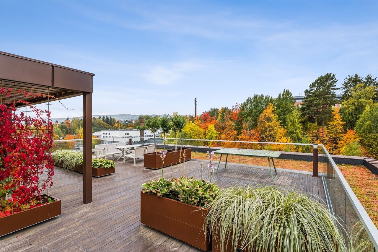 Beboerne har tilgang til en felles takterrasse med gode lysforhold og beplantning. Galleribilde