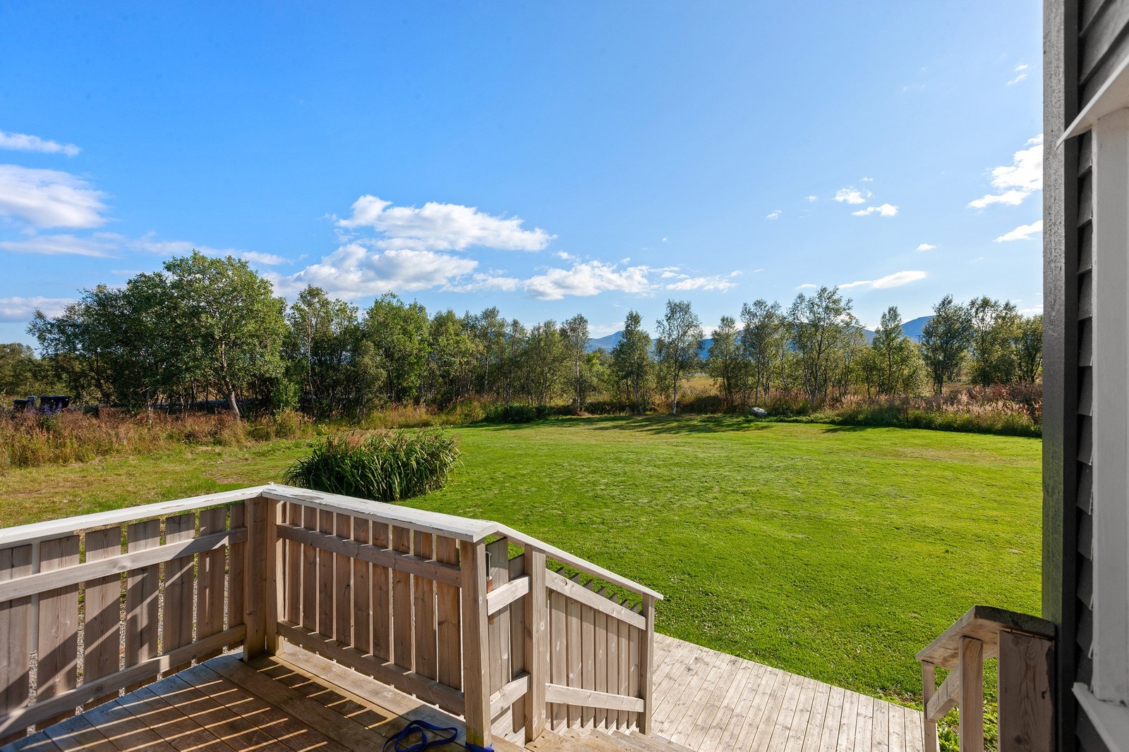 Stor hage pent opparbeidet med plen. Galleribilde