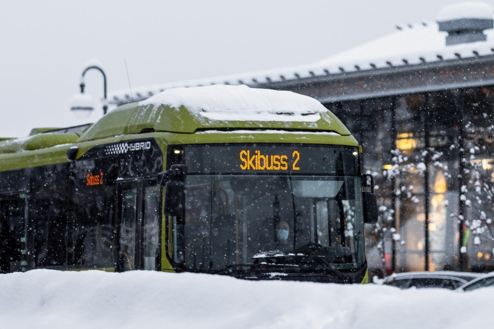 Foto: Aurelijus Norvaisas. Galleribilde