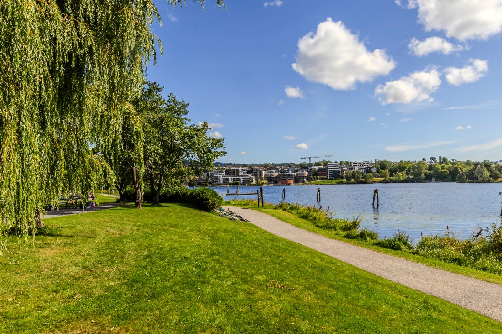 Bakkestranda Galleribilde