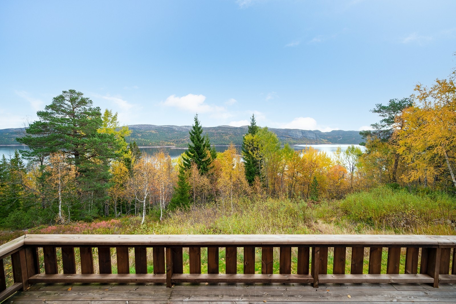 Nydelig utsikt fra terrasse! Galleribilde