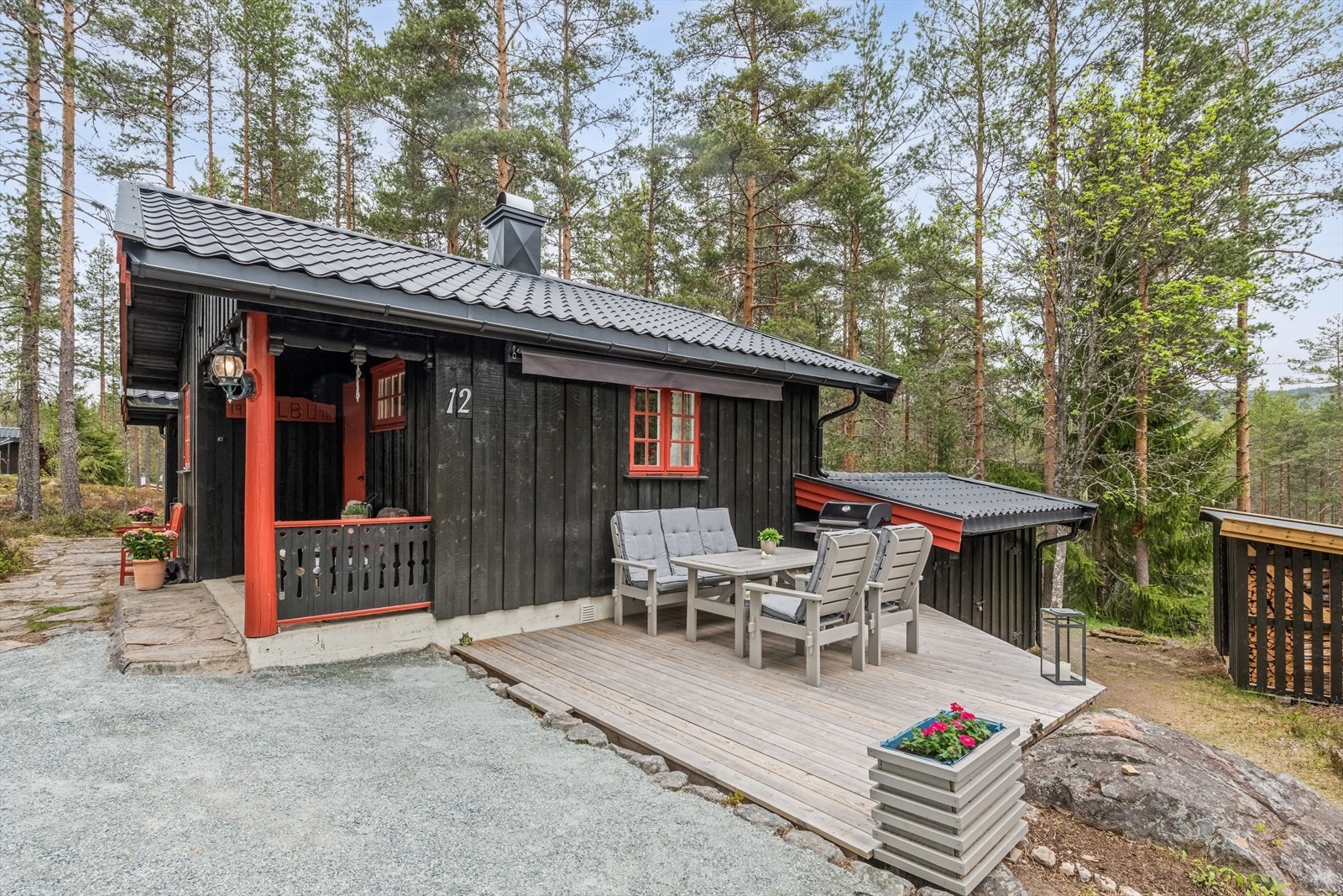 Treplatting ved hytta. Galleribilde