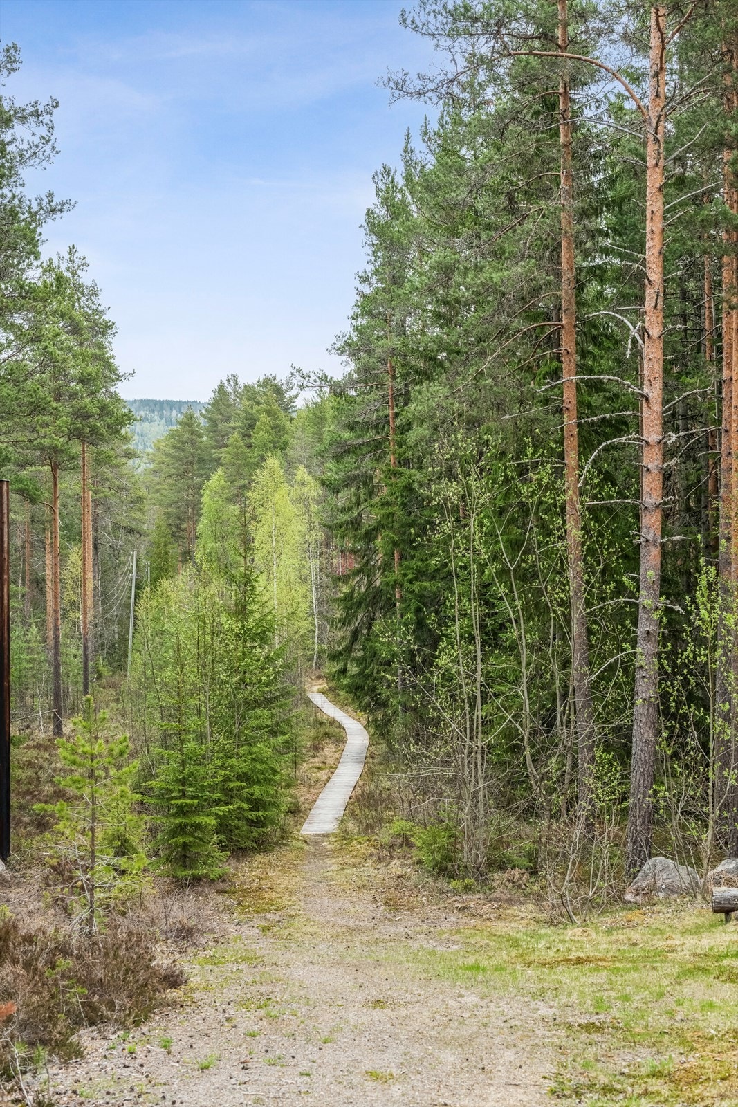 Fine turstier i nærområdet. Galleribilde