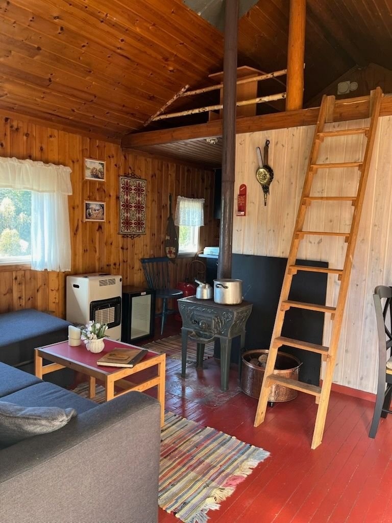 God vedovn med kokeplate oppå. Galleribilde