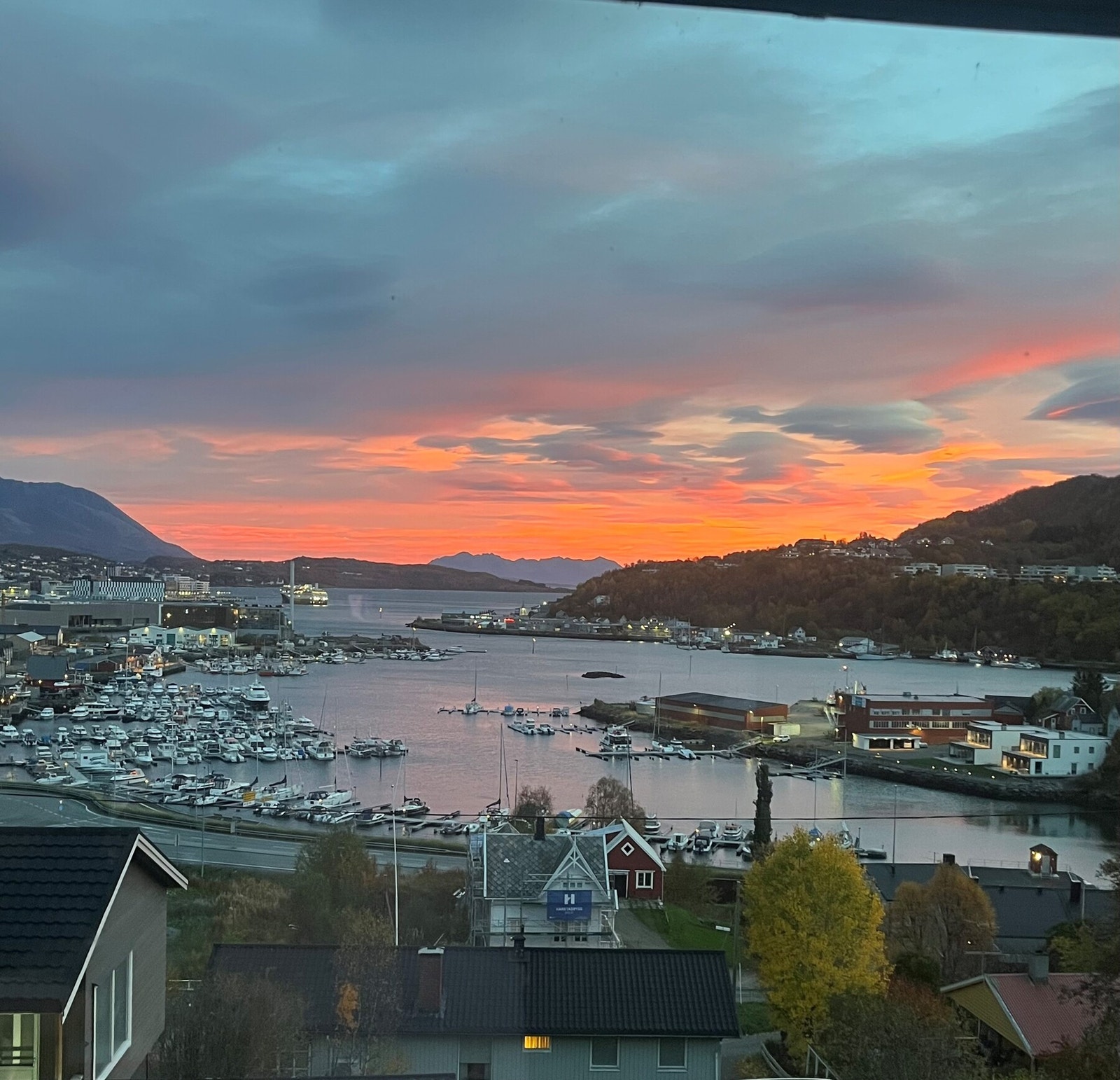 Selgers eget bilde Galleribilde