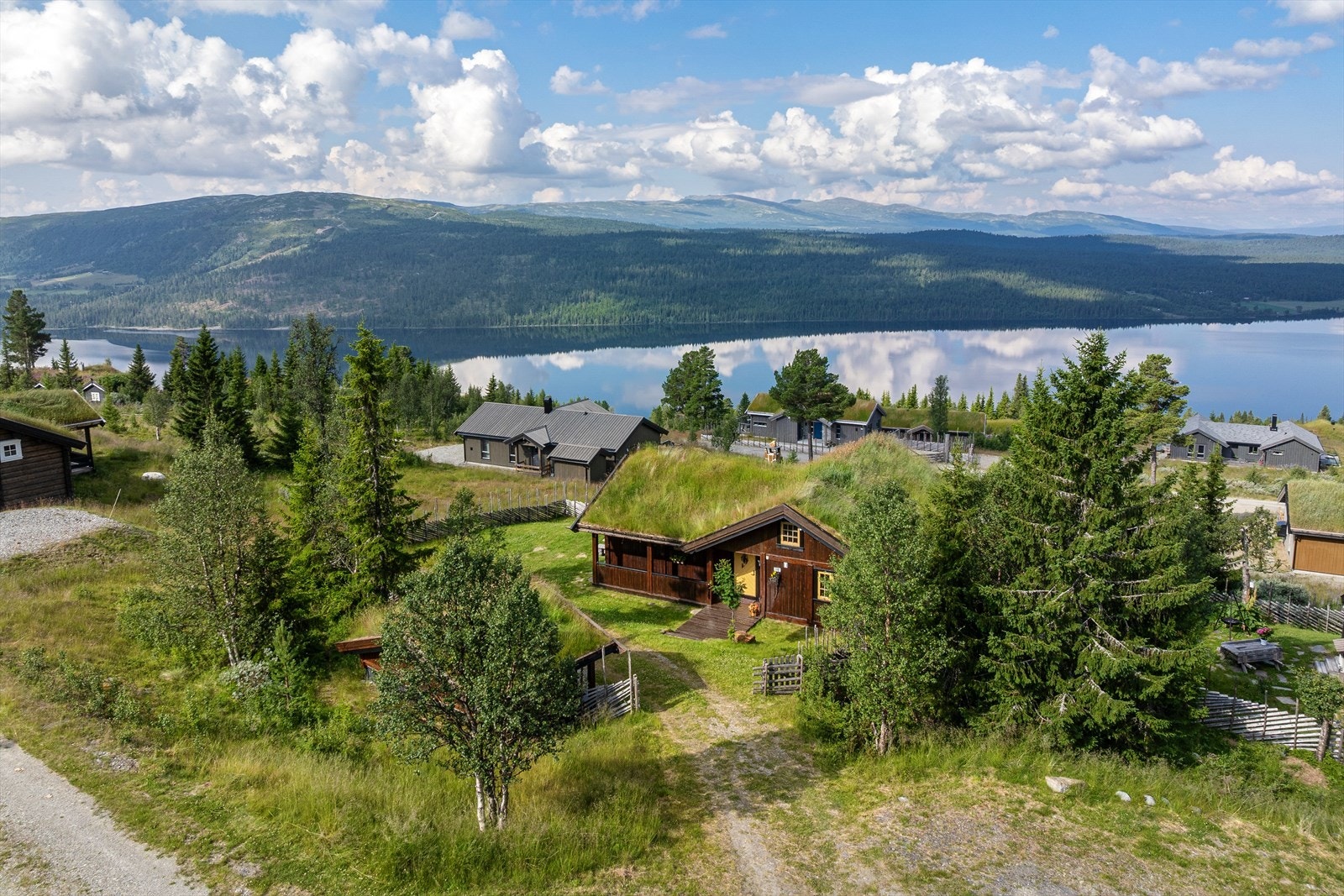 Fin innkjøring til hytta. Galleribilde