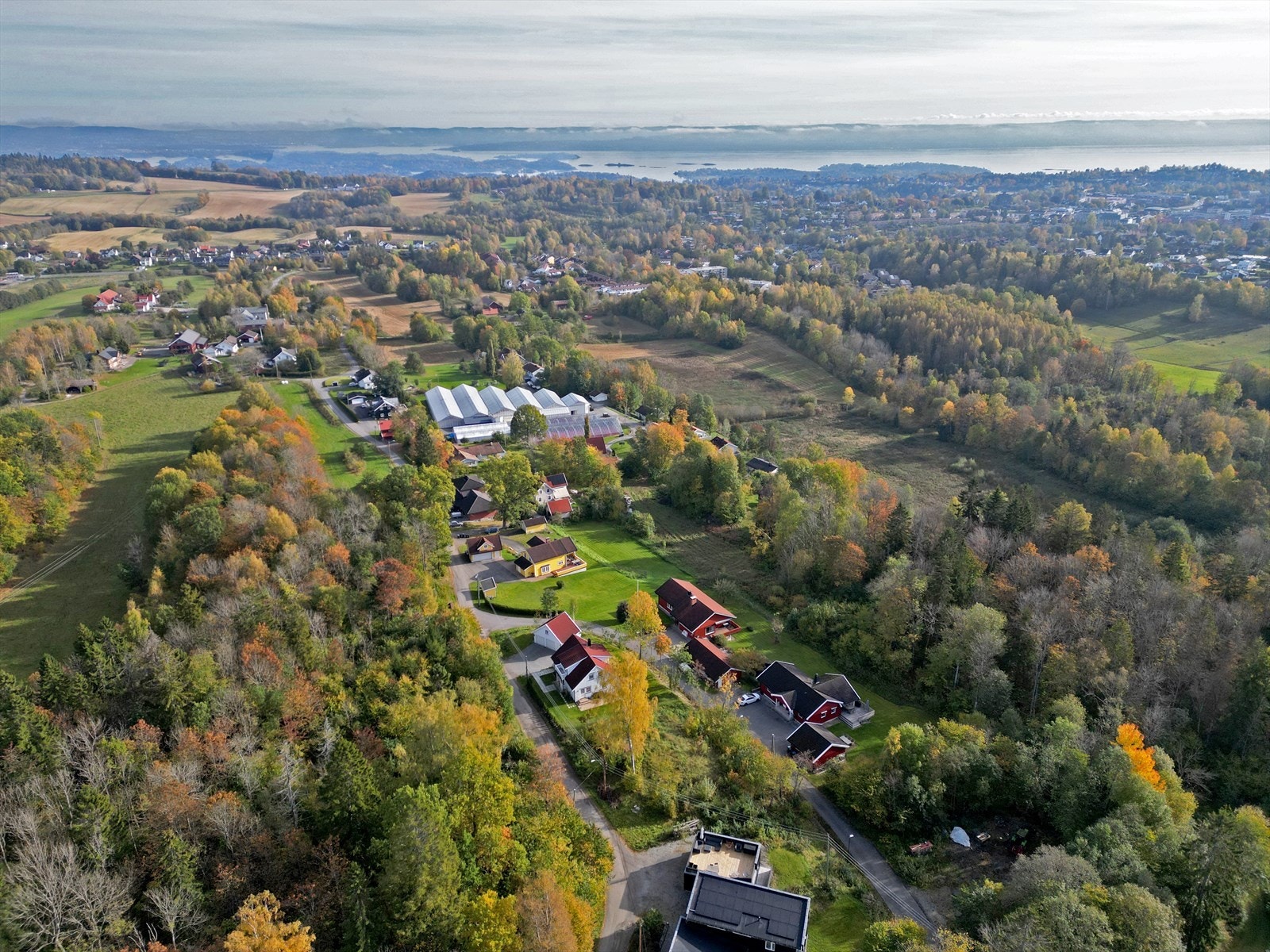 Utsikt retning Oslofjorden. Galleribilde