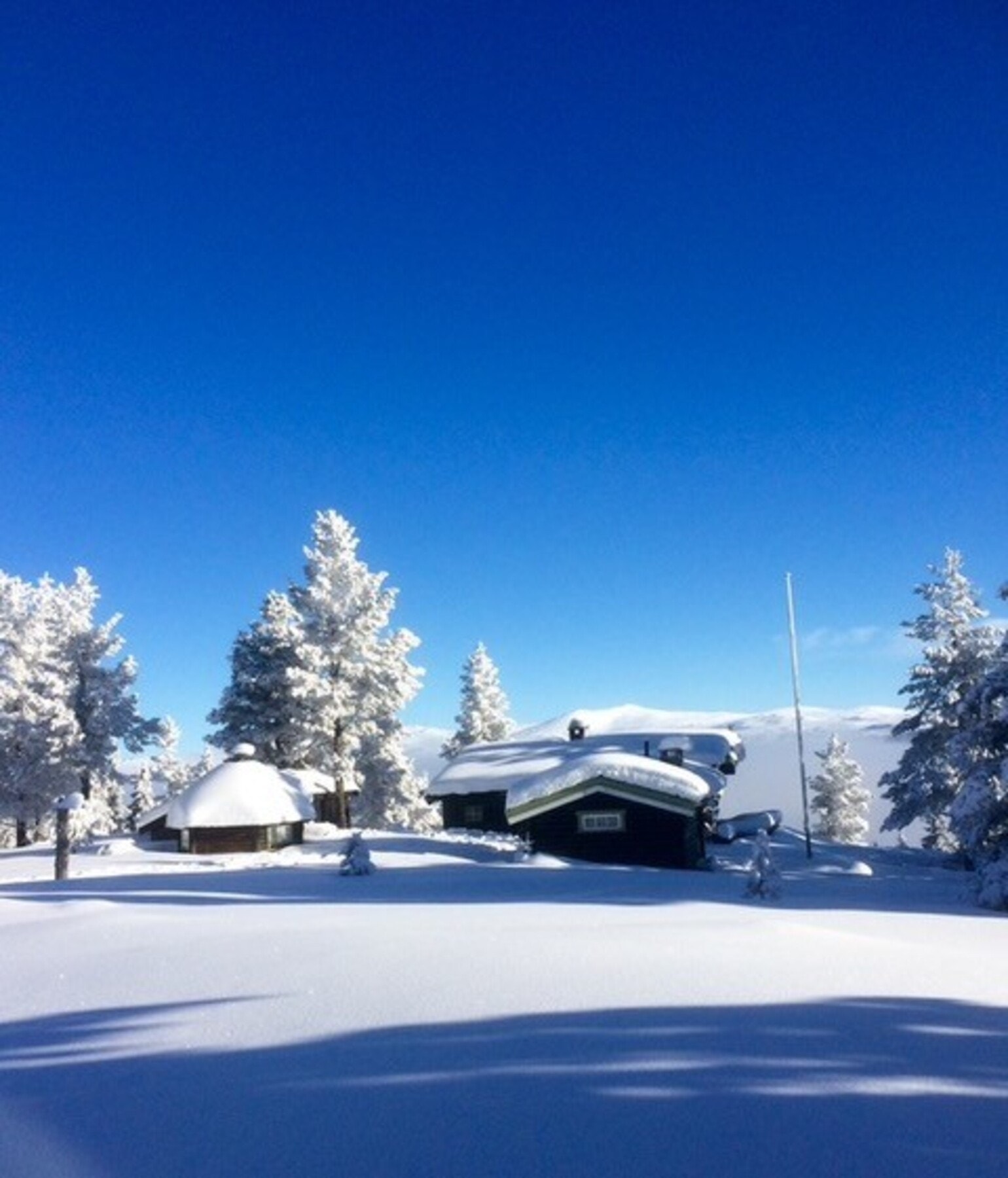 Privat bilde. Galleribilde