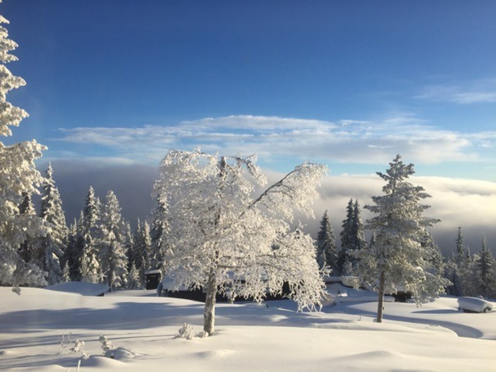 Privat bilde. Her er det like fint om vinteren som på sommeren. Galleribilde