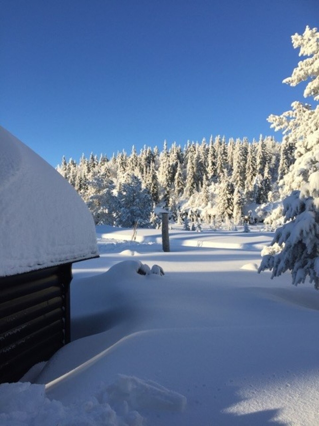 Privat bilde. Galleribilde