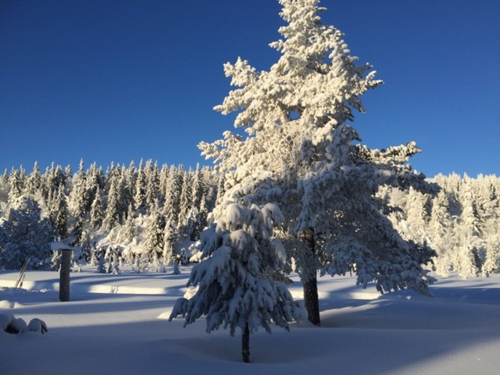 Privat bilde. Galleribilde