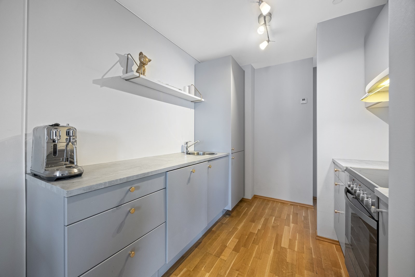 Innredning i malt utførelse med glatte fronter og medfølgende hvitevarer (komfyr, oppvaskmasking og kjøl-/fryseskap). Kjøkkenet har også god, tilliggende spiseplass. Galleribilde