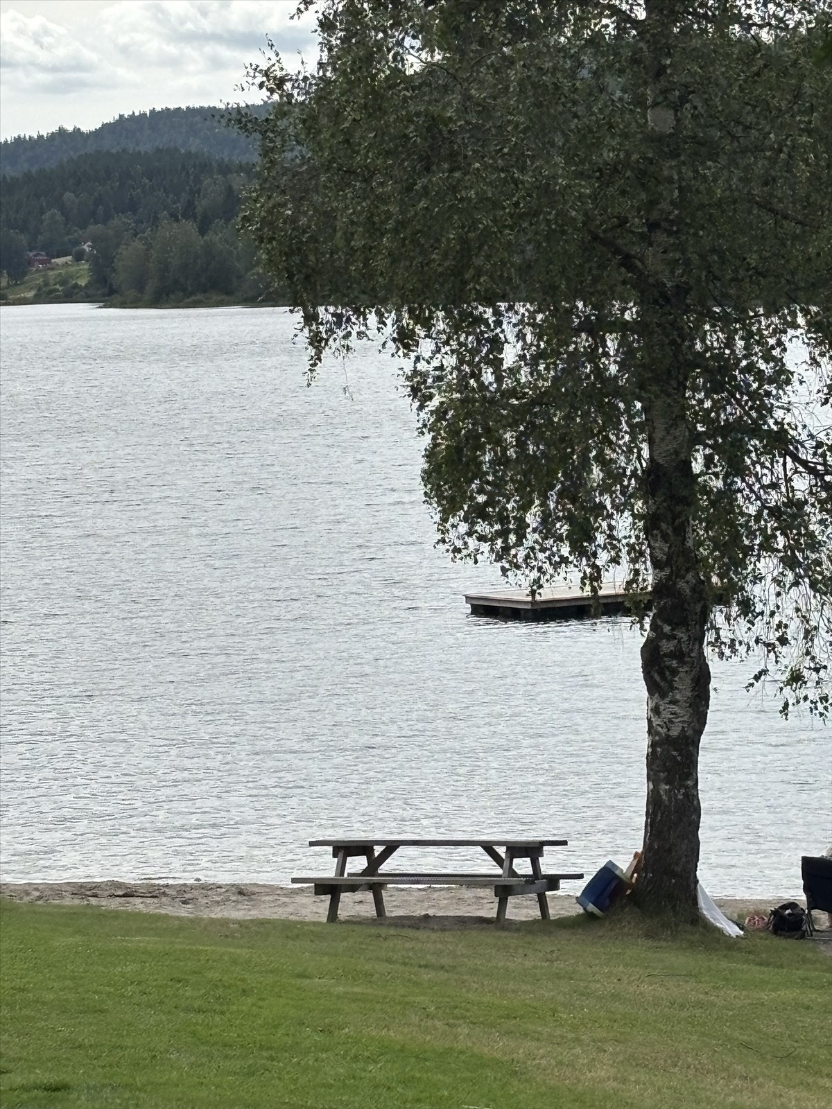 Fin Badestrand nede ved veien Galleribilde