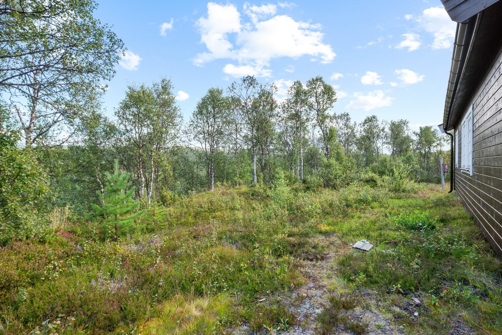 Området byr på gode turforbindelser både sommer og vinter. Galleribilde