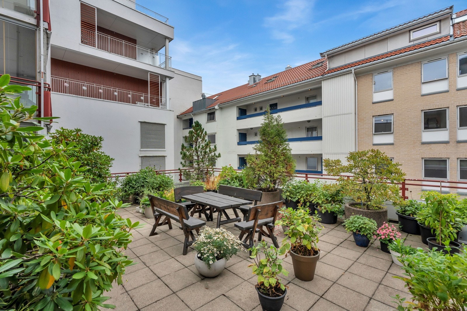 Flotte, frodige fellesareal. Galleribilde