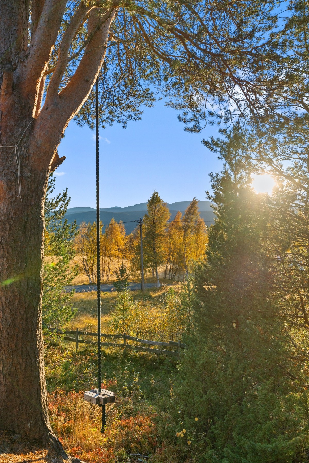 Detalj. Galleribilde