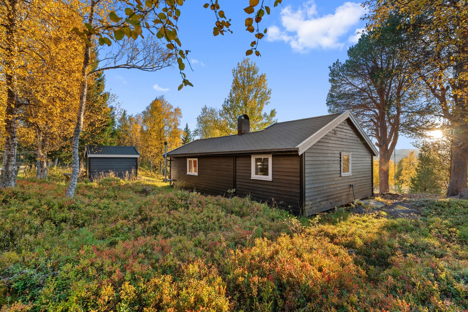 Hytten er på 50m². Galleribilde