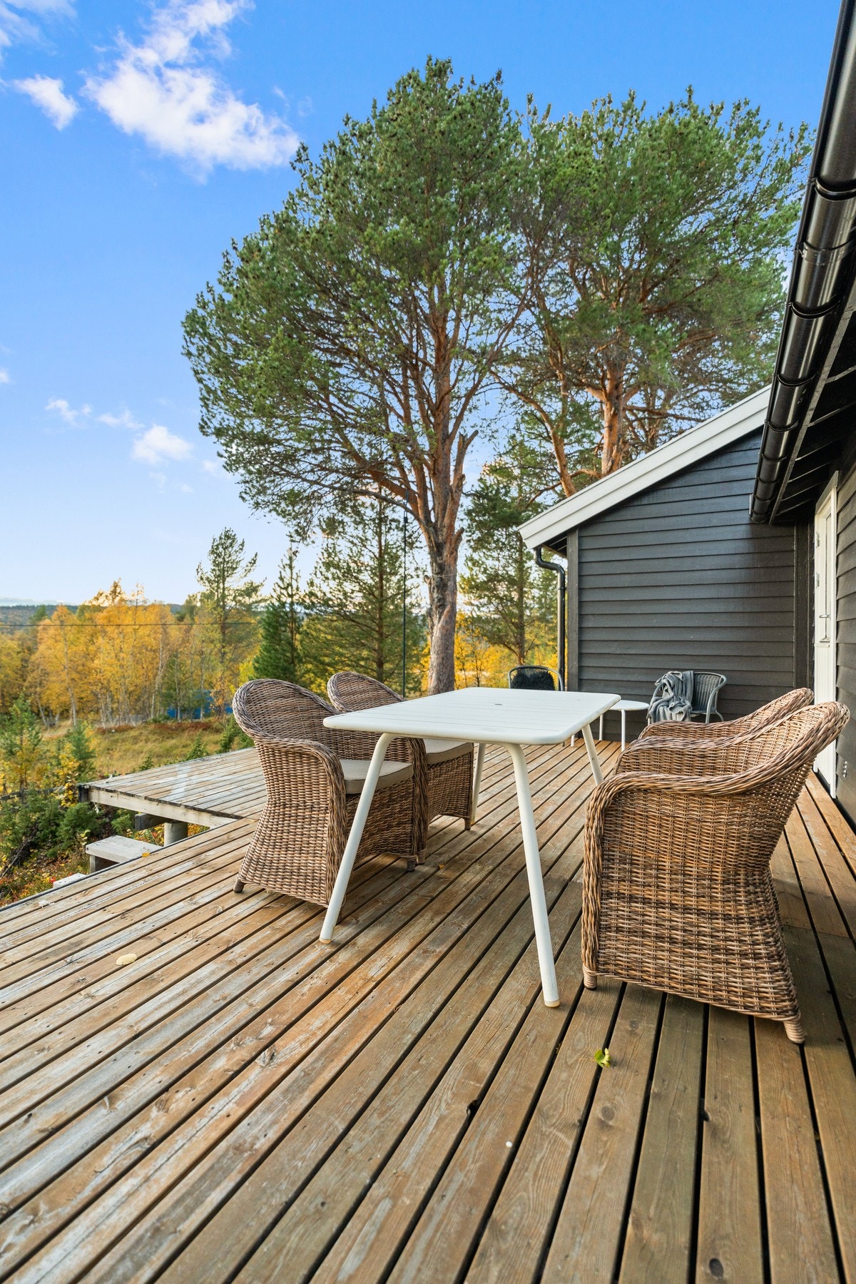 Detalj. Galleribilde