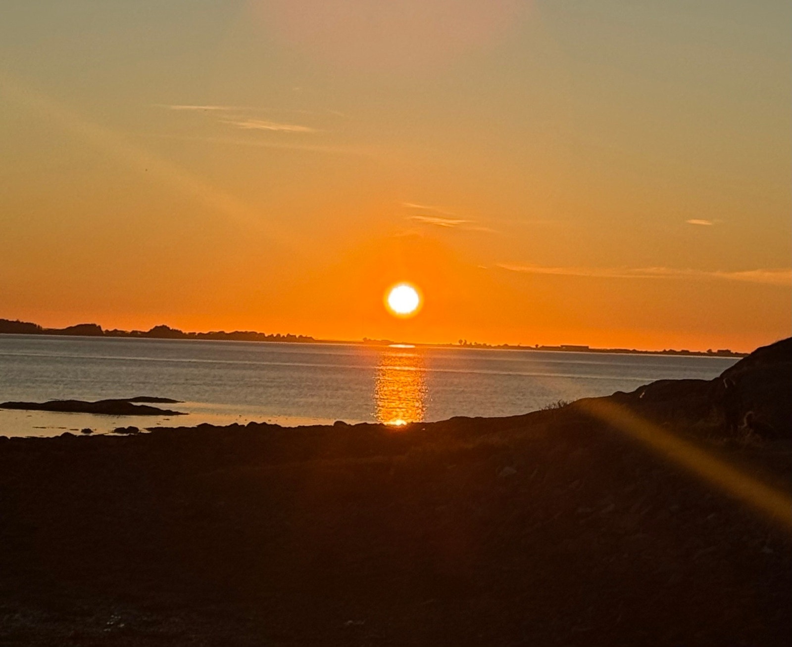 ...slik som disse! Galleribilde