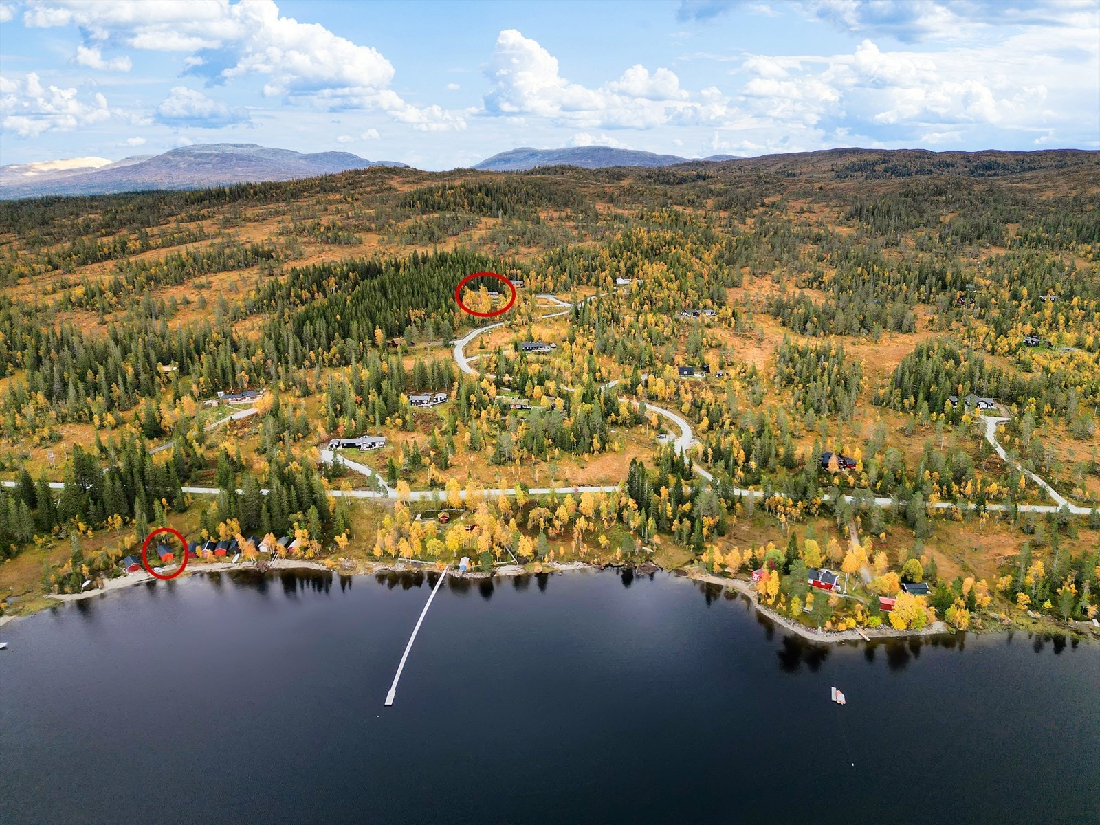 Velkommen til trivelig visning! Galleribilde