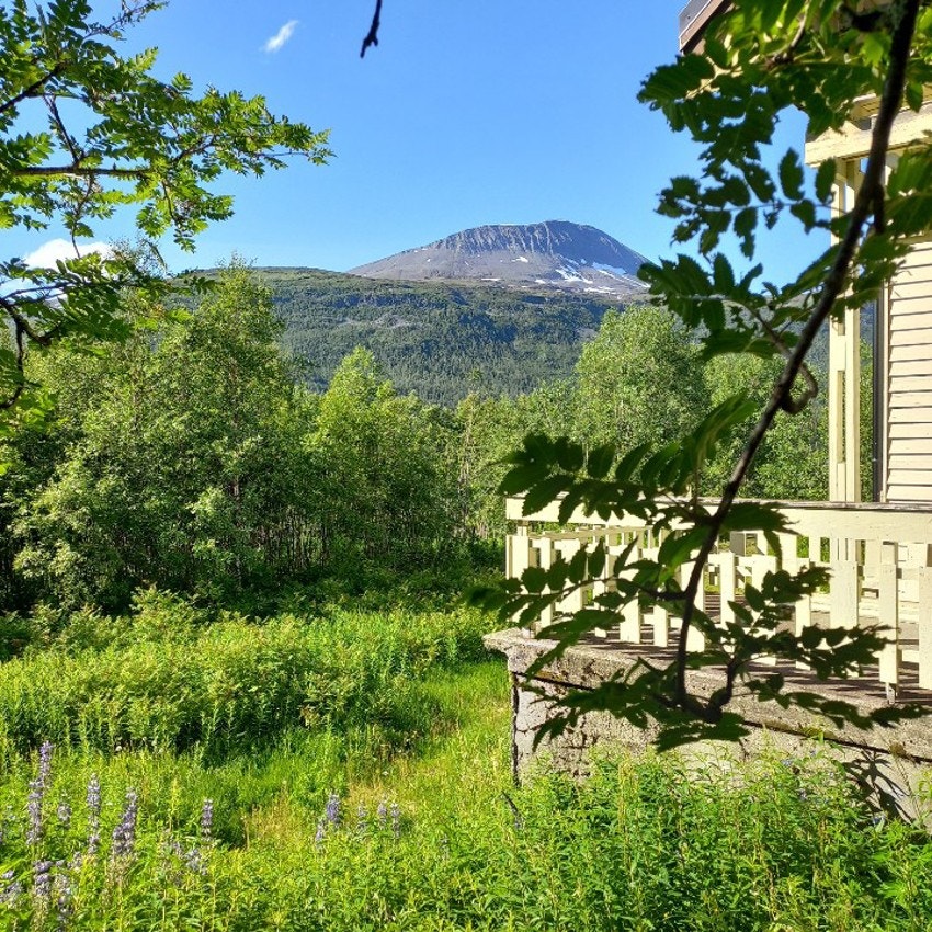 Fra eiendommen kan man se opp mot Tromsdalstinden. Galleribilde