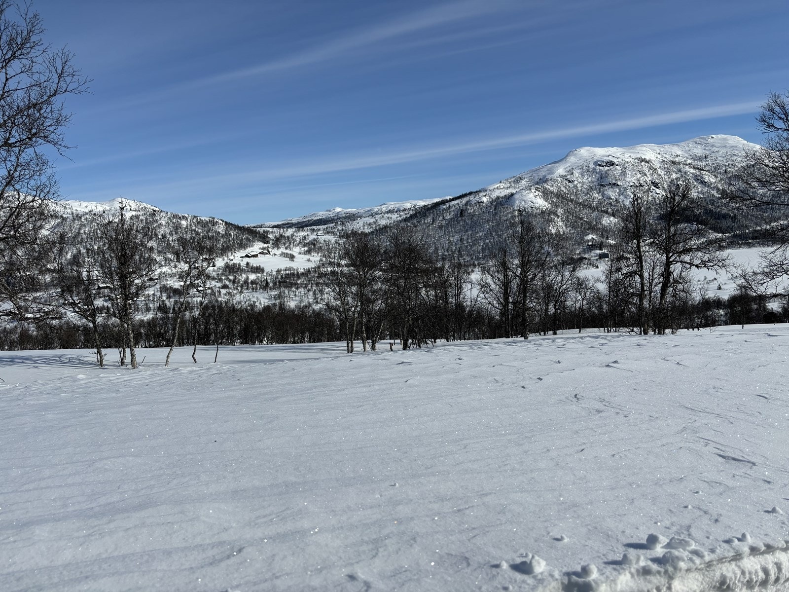 Fra tomteområdet H-41 Galleribilde