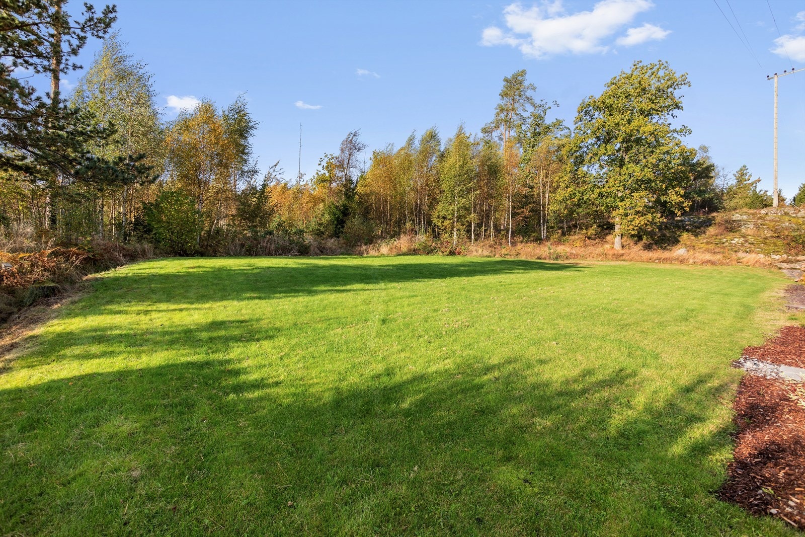 Trapp i hagen fører opp til en stor, felles gressplen mot skogen. Galleribilde