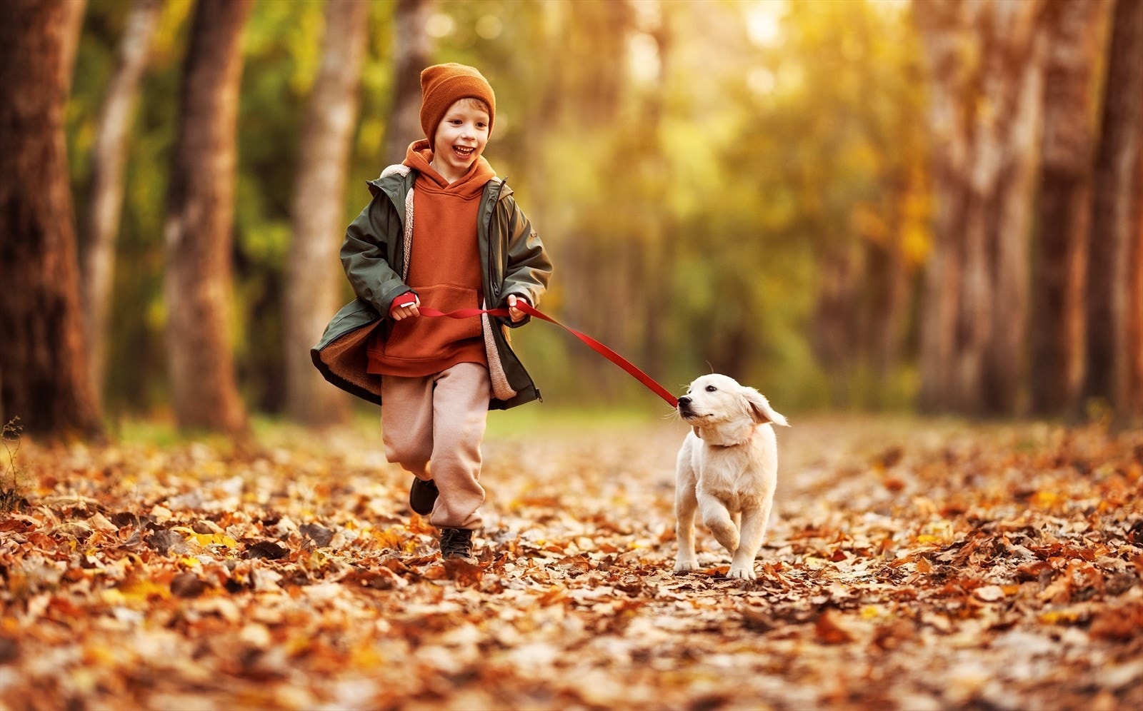 Det er tur- og rekreasjonsområder rett utenfor døren (illustrasjonsbilde). Galleribilde
