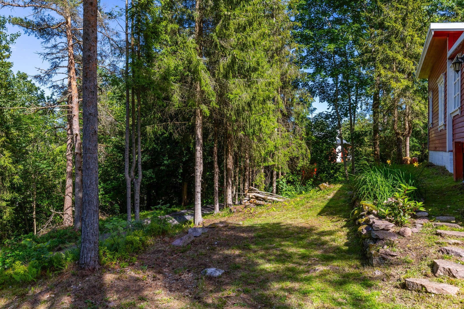 Det er også flotte turmuligheter i området! Galleribilde