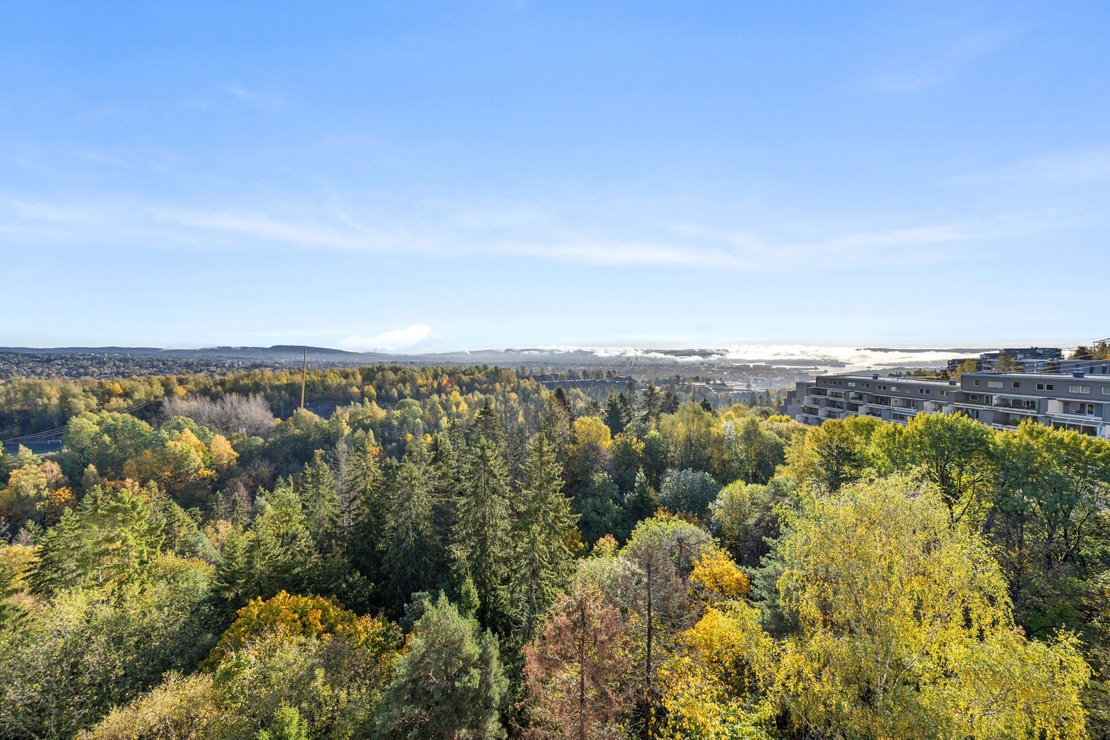 Utsikt. Galleribilde