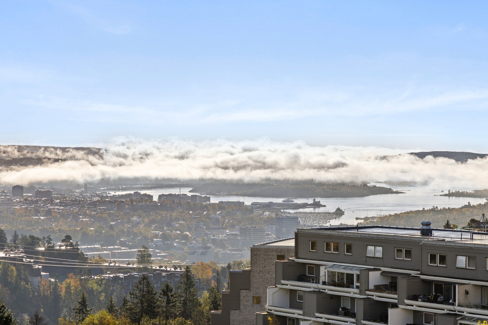 Utsikt. Galleribilde