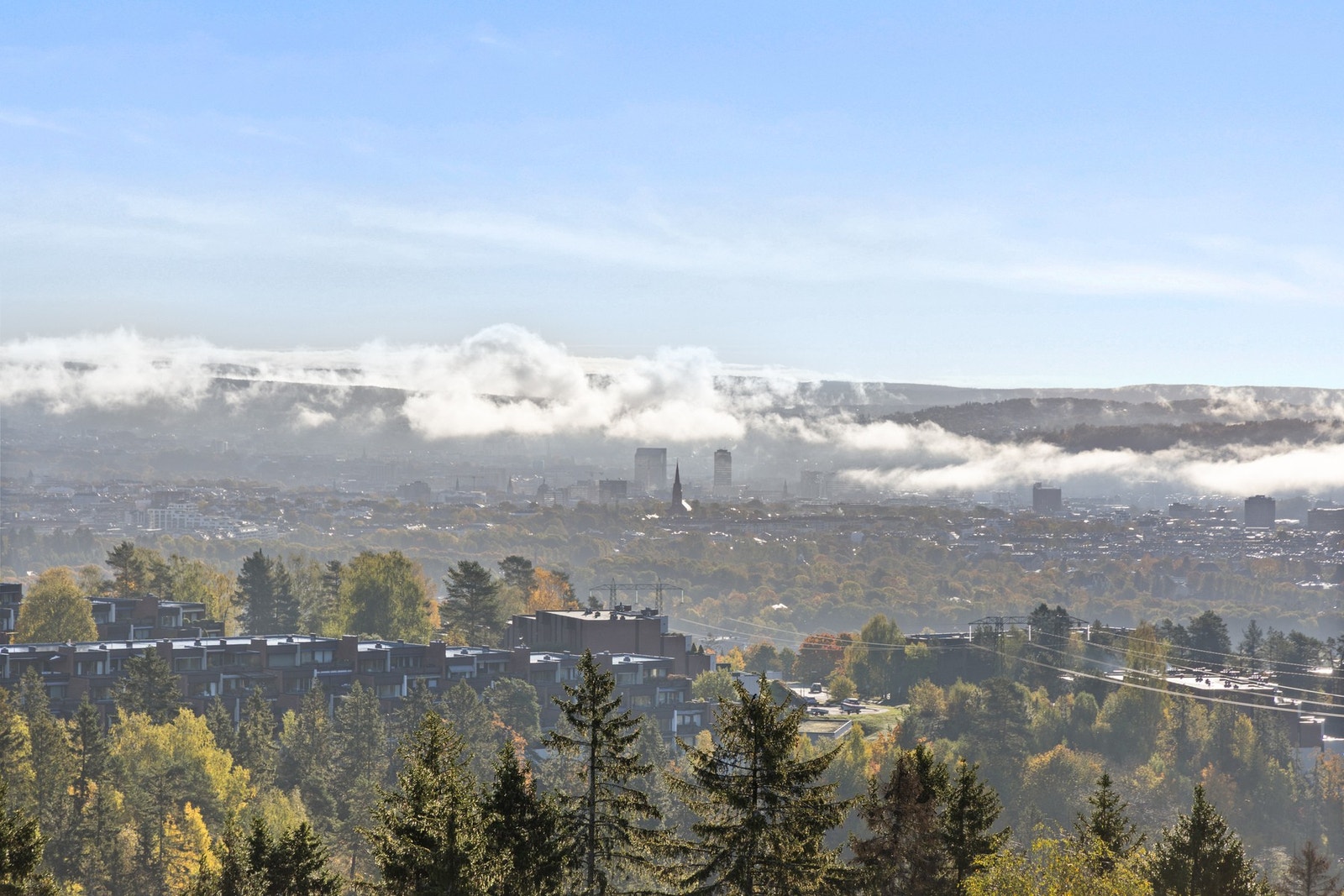 Utsikt. Galleribilde