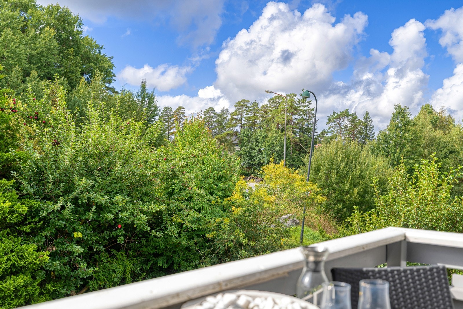Fra verandaen er det frodig og grønt Galleribilde