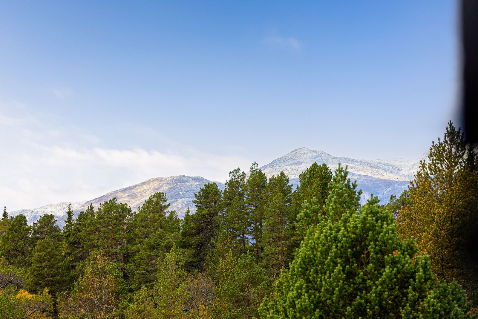 Flott utsikt til Raulandsfjell fra balkongen Galleribilde