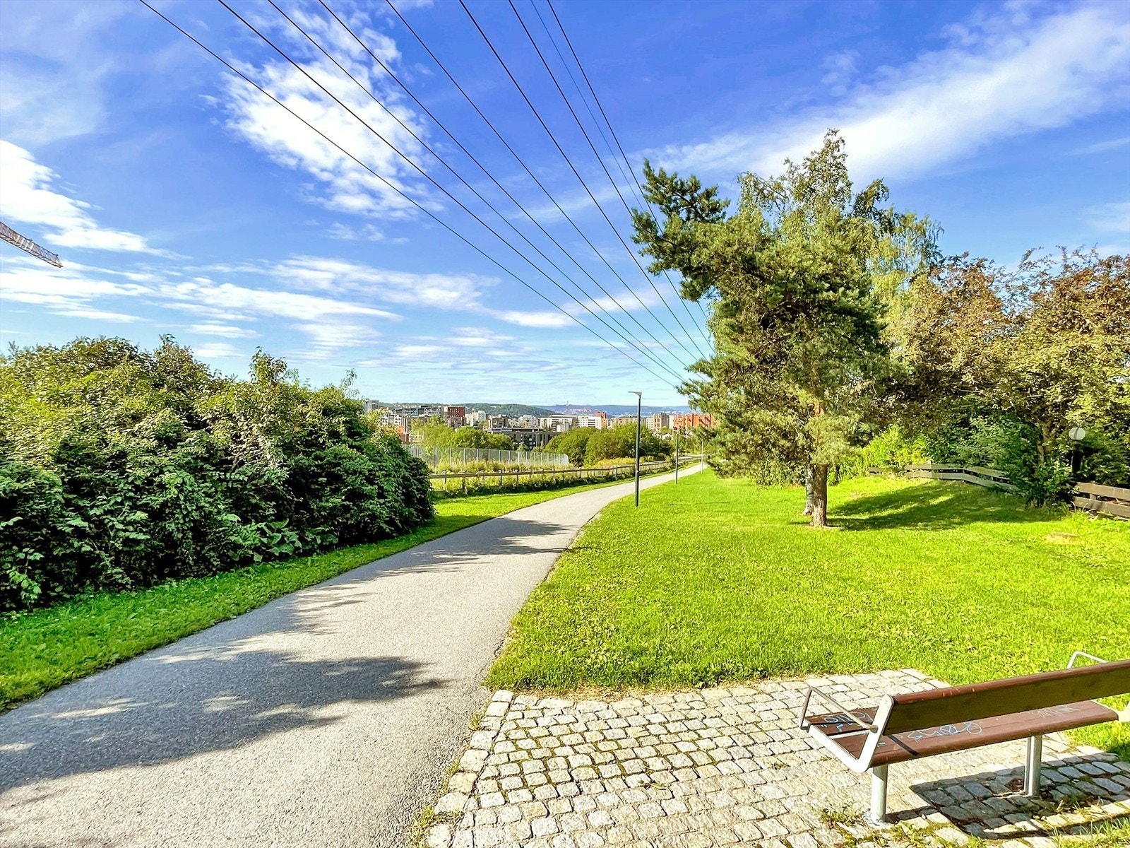 Flere flotte tur- og rekreasjonsmuligheter i området. Galleribilde