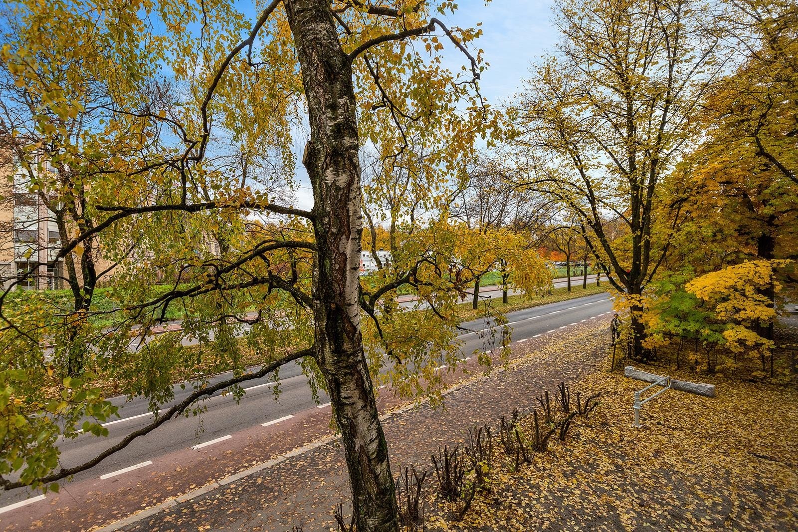 Utsyn fra kjøkken Galleribilde