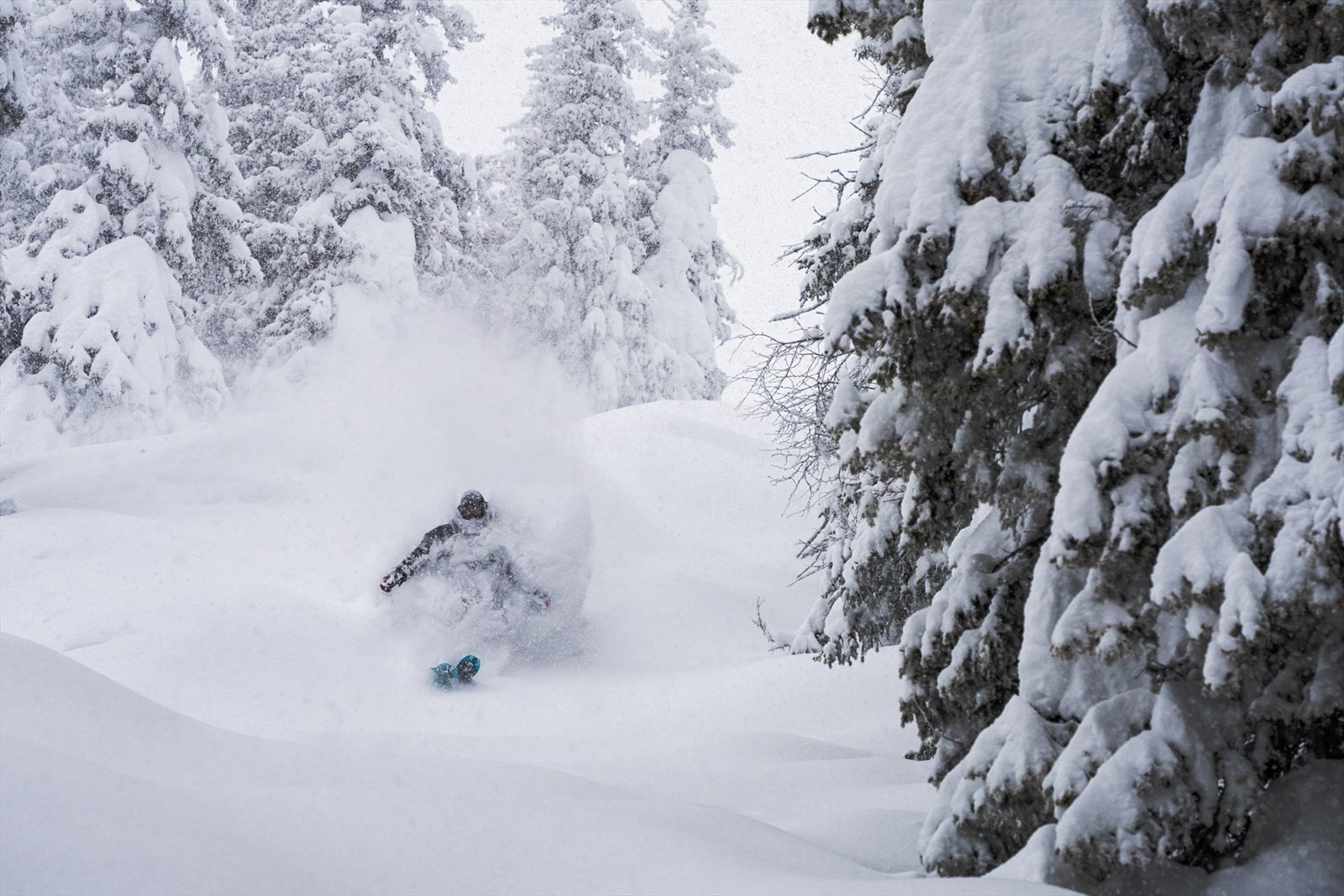 Høgevarde - ditt nærmeste puddermekka! Galleribilde
