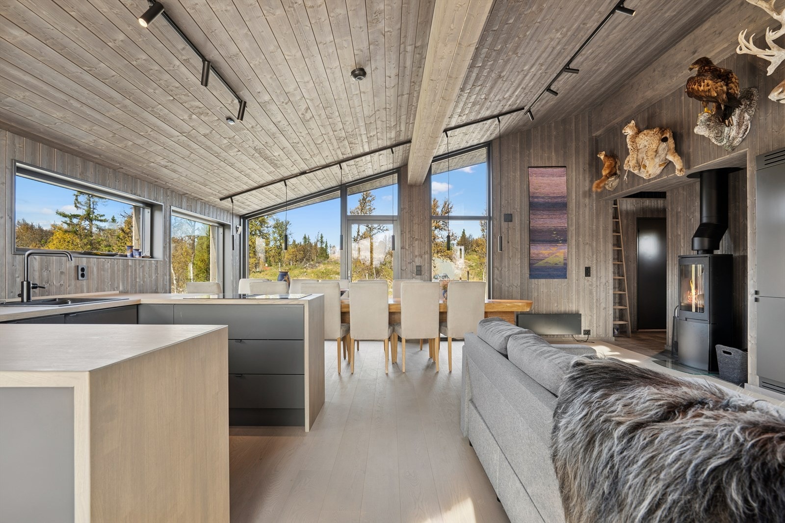 Store vinduer gir mye lys inn i hytta. Galleribilde