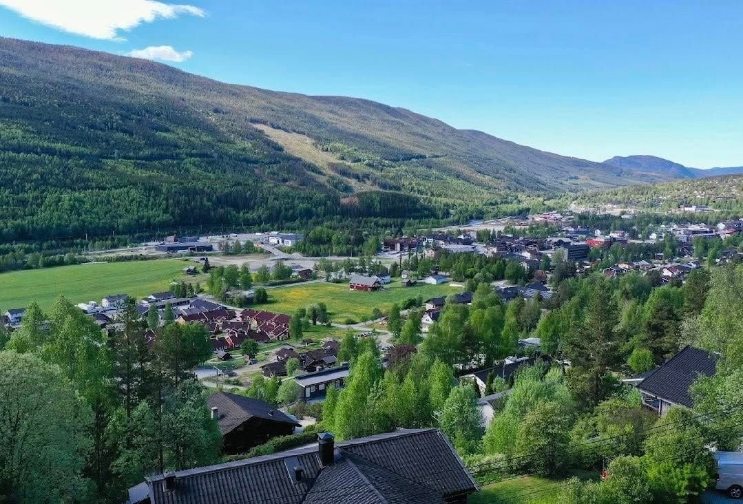 Flott utsikt over Gol Galleribilde