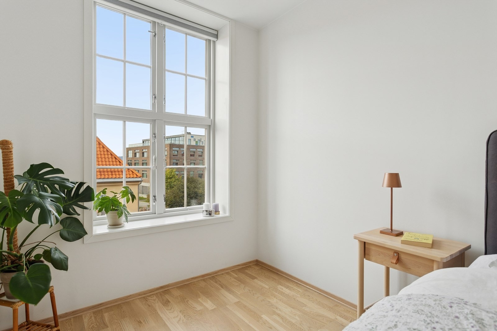 Med store vindu overflater som gir mye naturlig lys. Galleribilde