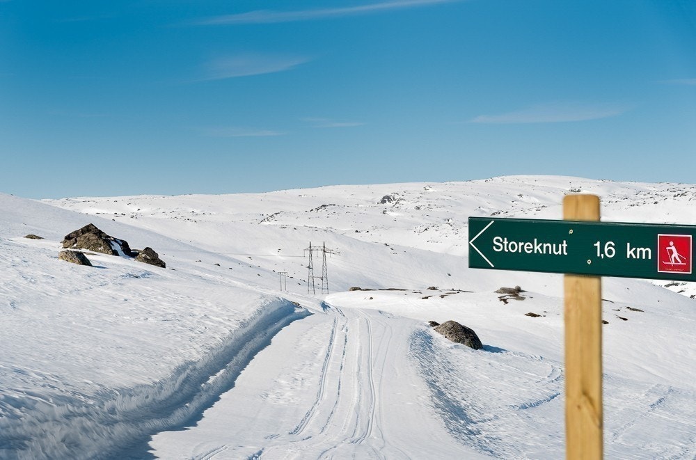 Langrennsløype til Storeknut er merket Galleribilde