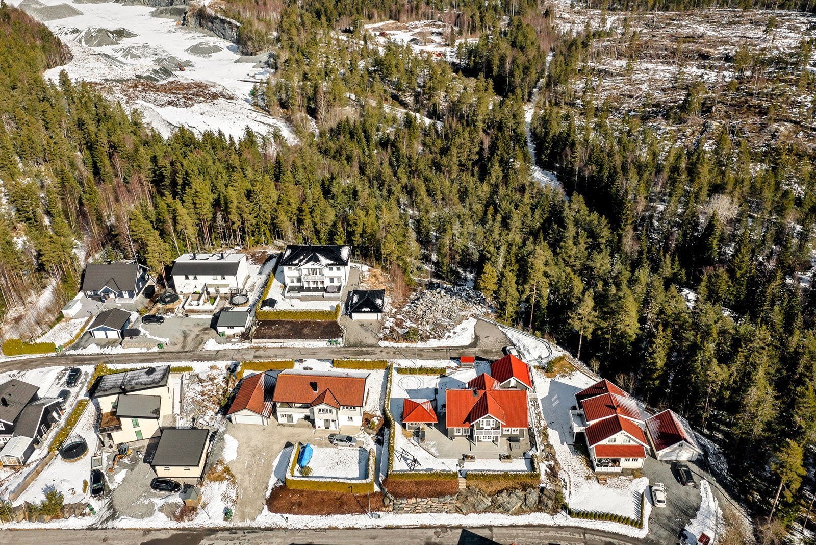 Skog og turløyper i umiddelbar nærhet Galleribilde