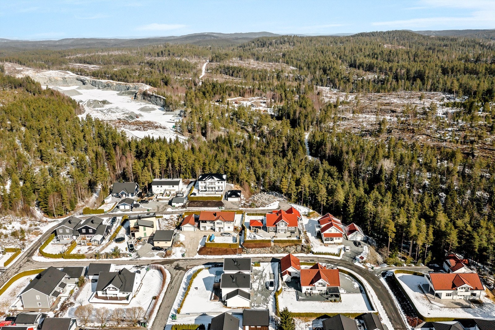Skog og mark som nærmeste nabo Galleribilde