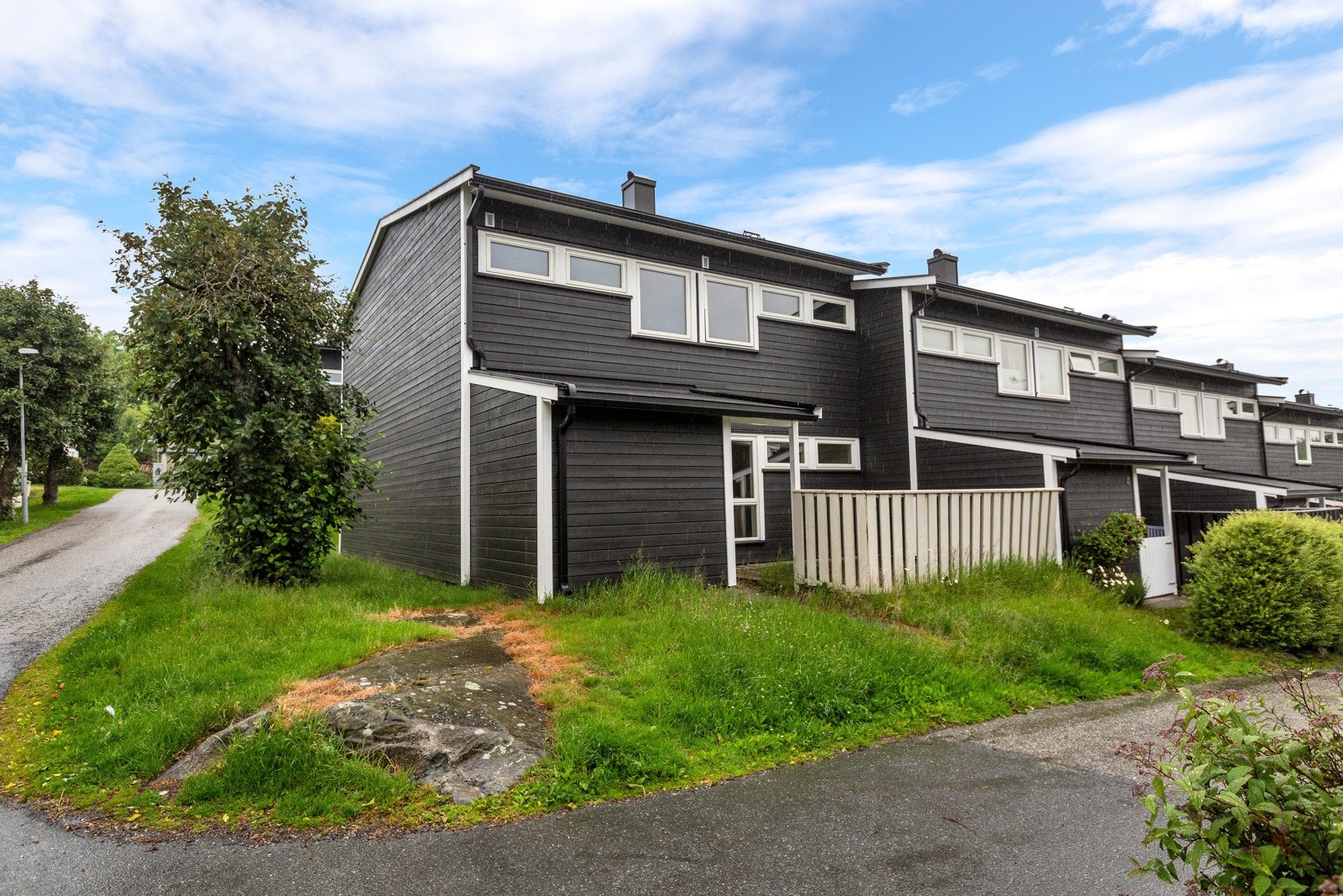 Blåbærstien 2! Galleribilde