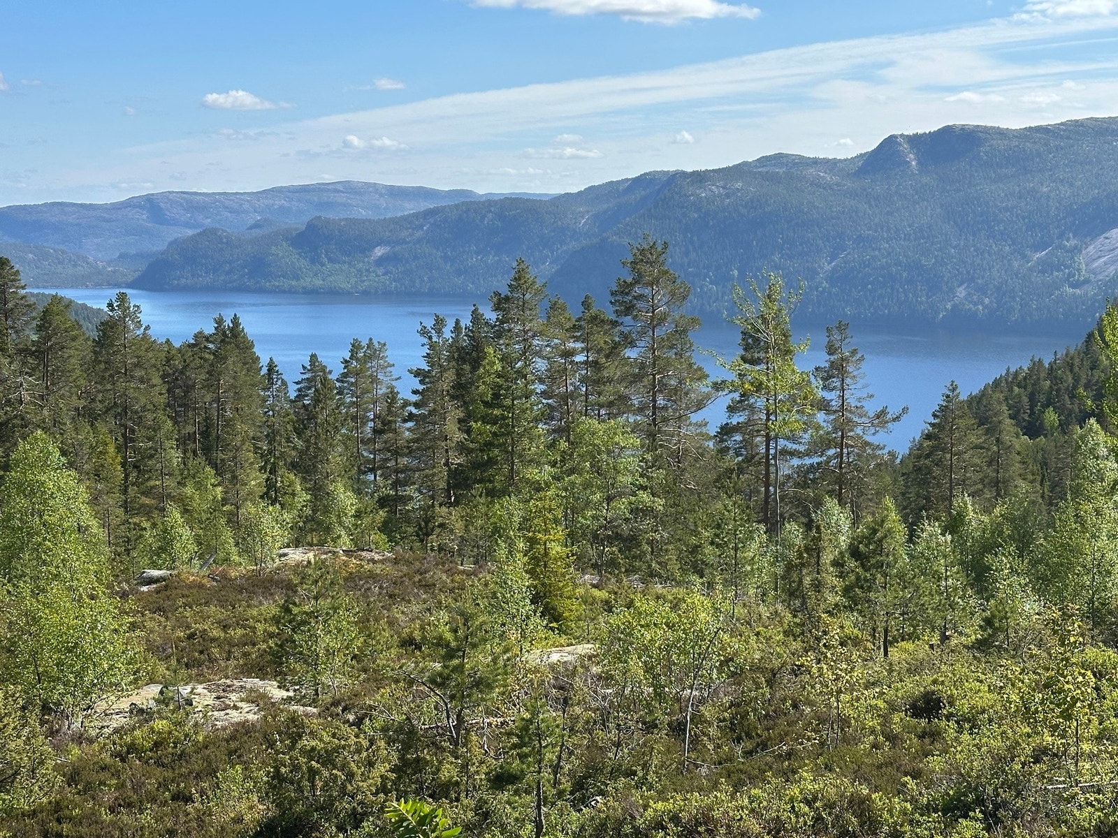 Hytta ligger i naturskjønne omgivelser i underkant av 600 moh. Rike turmuligheter og fiskemuligheter i nærområdet. Galleribilde
