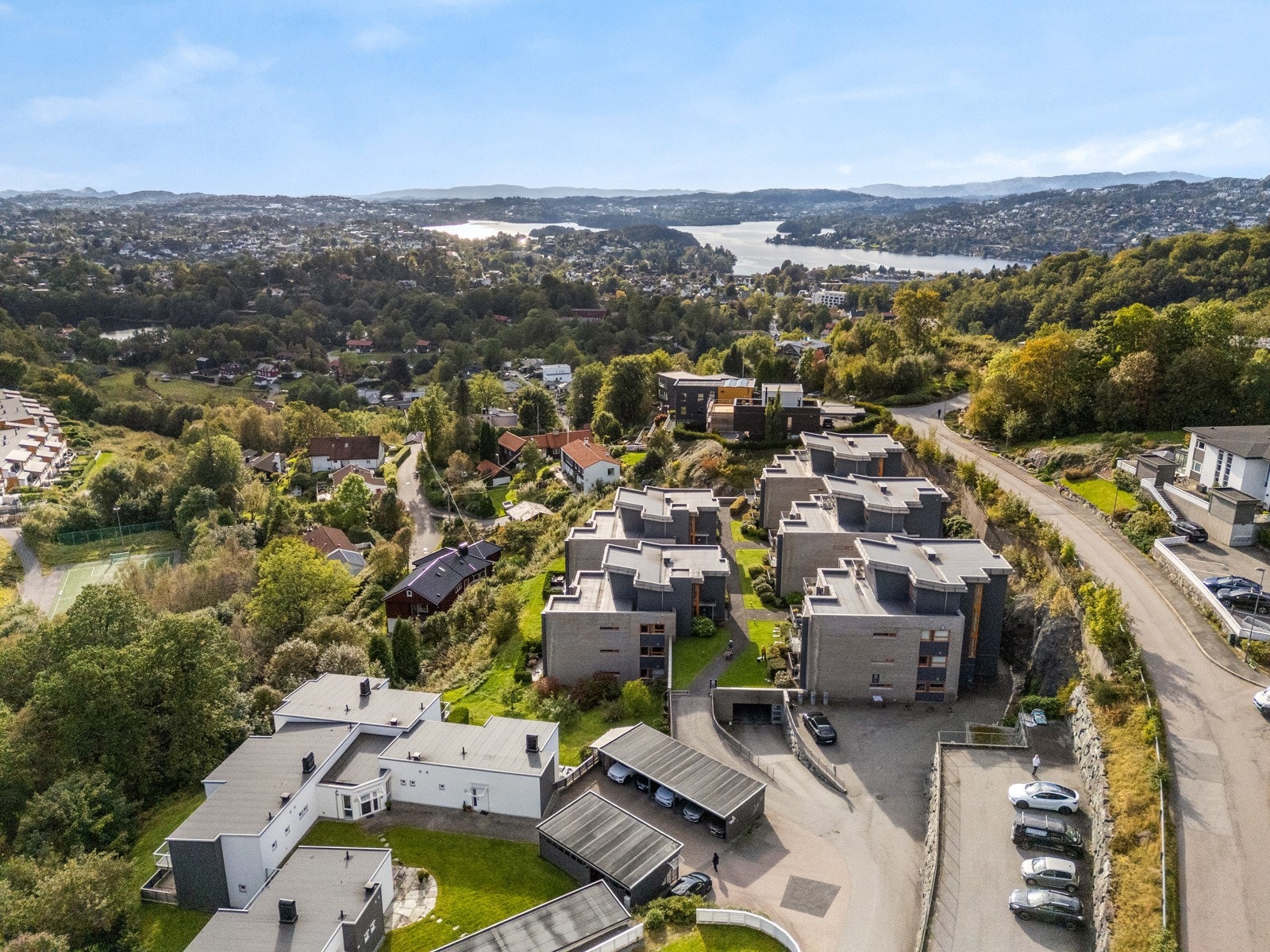 Fasade. Galleribilde