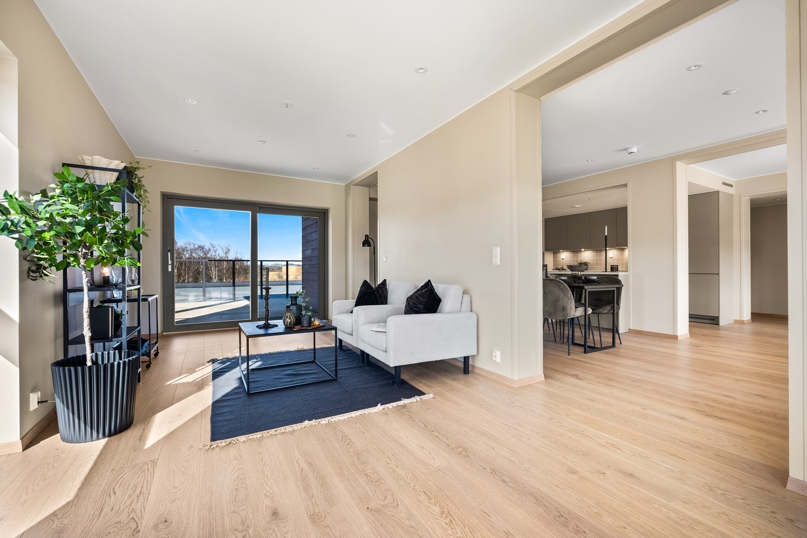 Utgang til balkongene fra hver side av stuen. Galleribilde