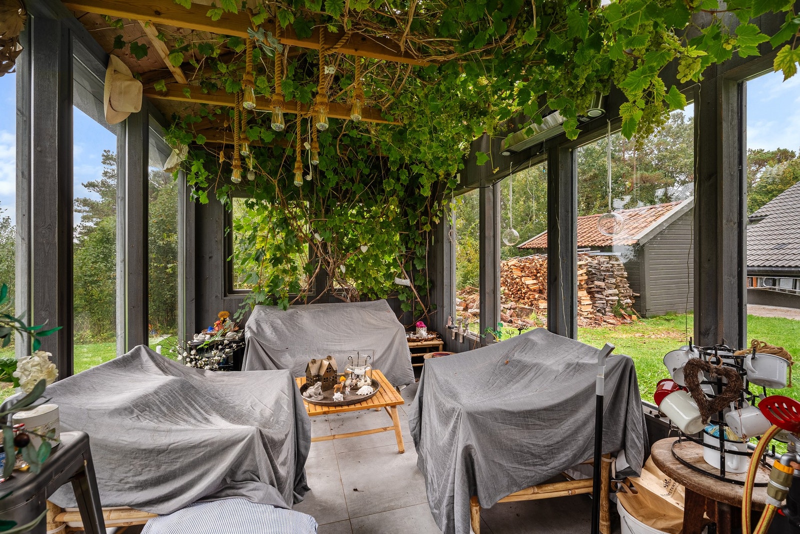 Fra drivhuset med drueranker