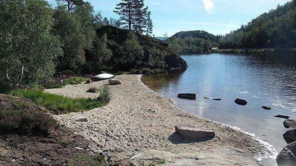 Stranden ved Huldreheimen Galleribilde